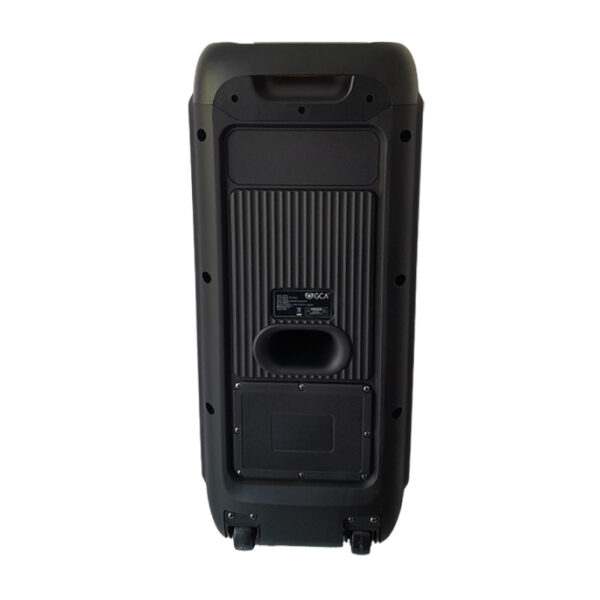 Gca sp-8218  parlante warrior 2 x 8  a batería, con luces rítmicas tipo flama - Imagen 6